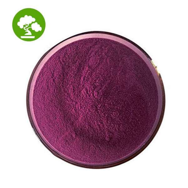 Best selling organic acai puree acai pulp frozen