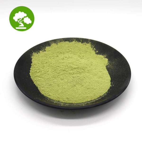 Food Grade Organic broccoli sprout powder