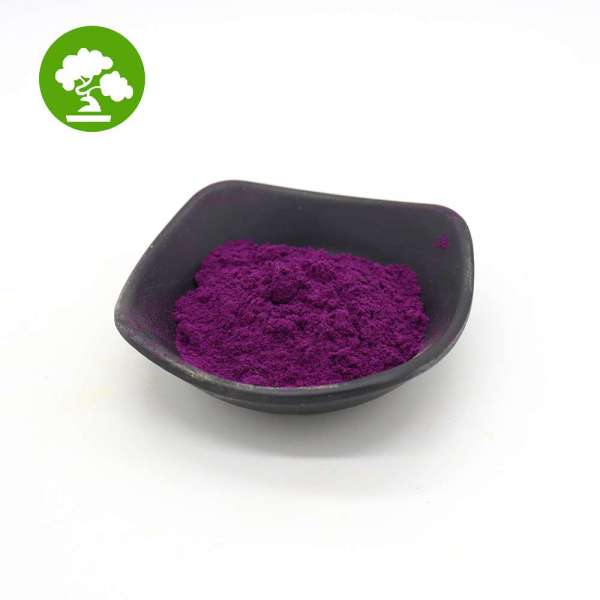 China supply berry fruit pulp extract organic natural acai berry powder