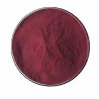 CNLAB supply high quality acai berry extract powder