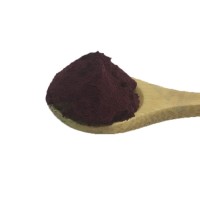 High Quality Brazil Acai Berry Juice Powder